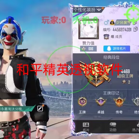 和平精英透视软件-全网唯一稳死直装鸭鸭子操作教程